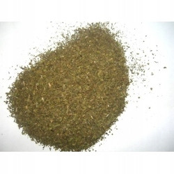 Máta Pińczowska 1 Kg Rafex