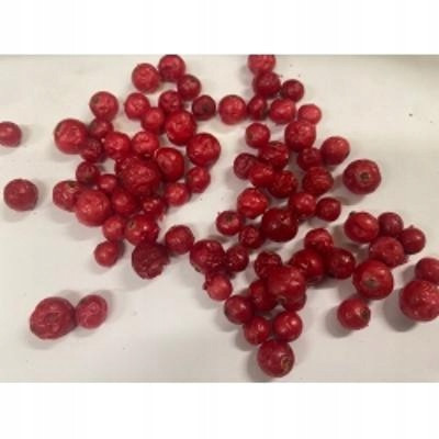 Červený rybíz Lio. 1 kg Rafex