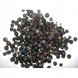 Jalovec plod 1 kg Rafex