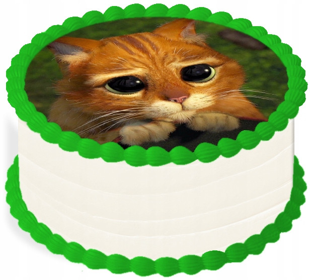 oplatek na dort 14 cm Shrek Narozeniny Party