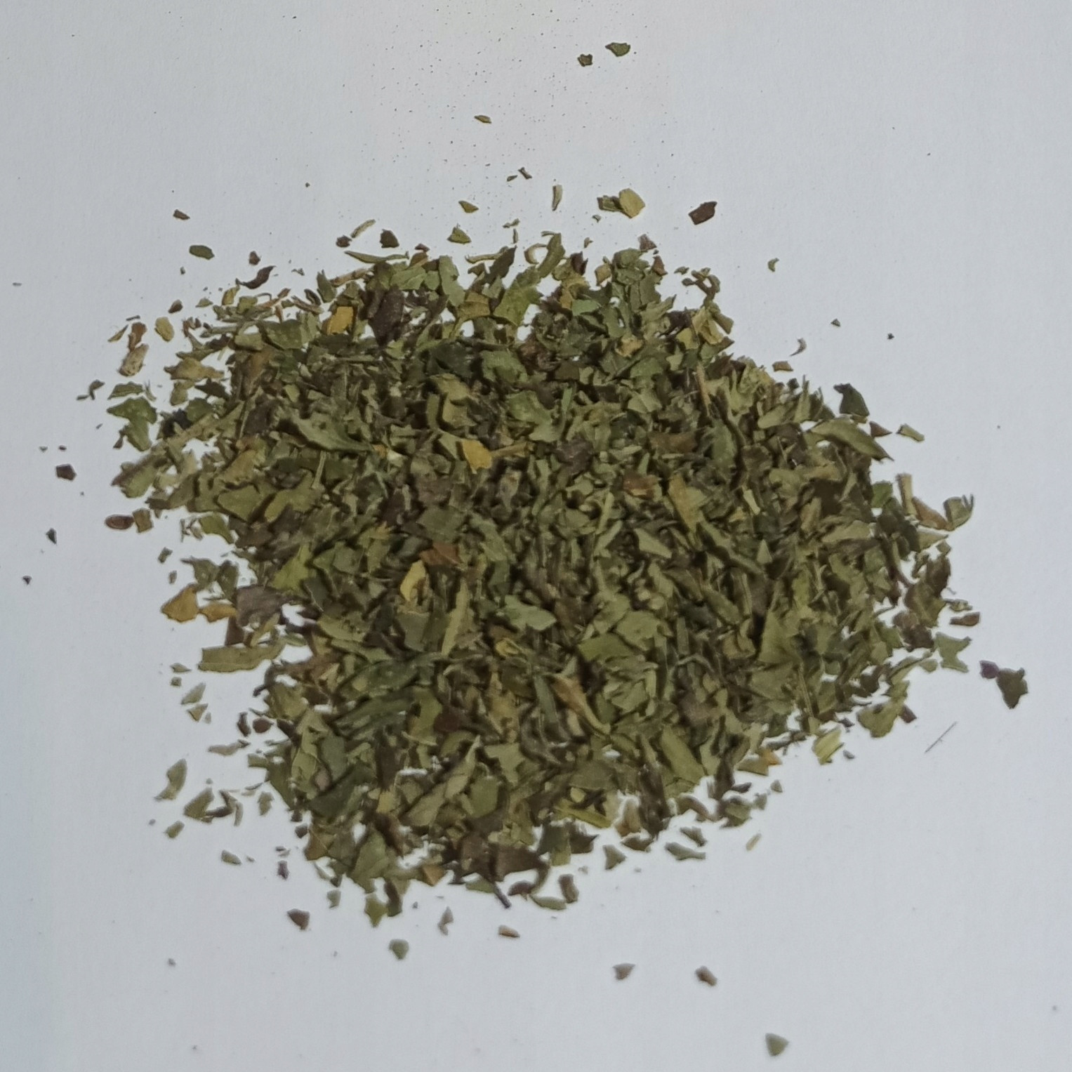 Máta Citronová Novinka 1 Kg Rafex