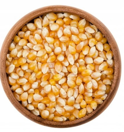 Kukuřice Popcorn 25kg kukuřičná zrna na pražení bez soli Bakamo