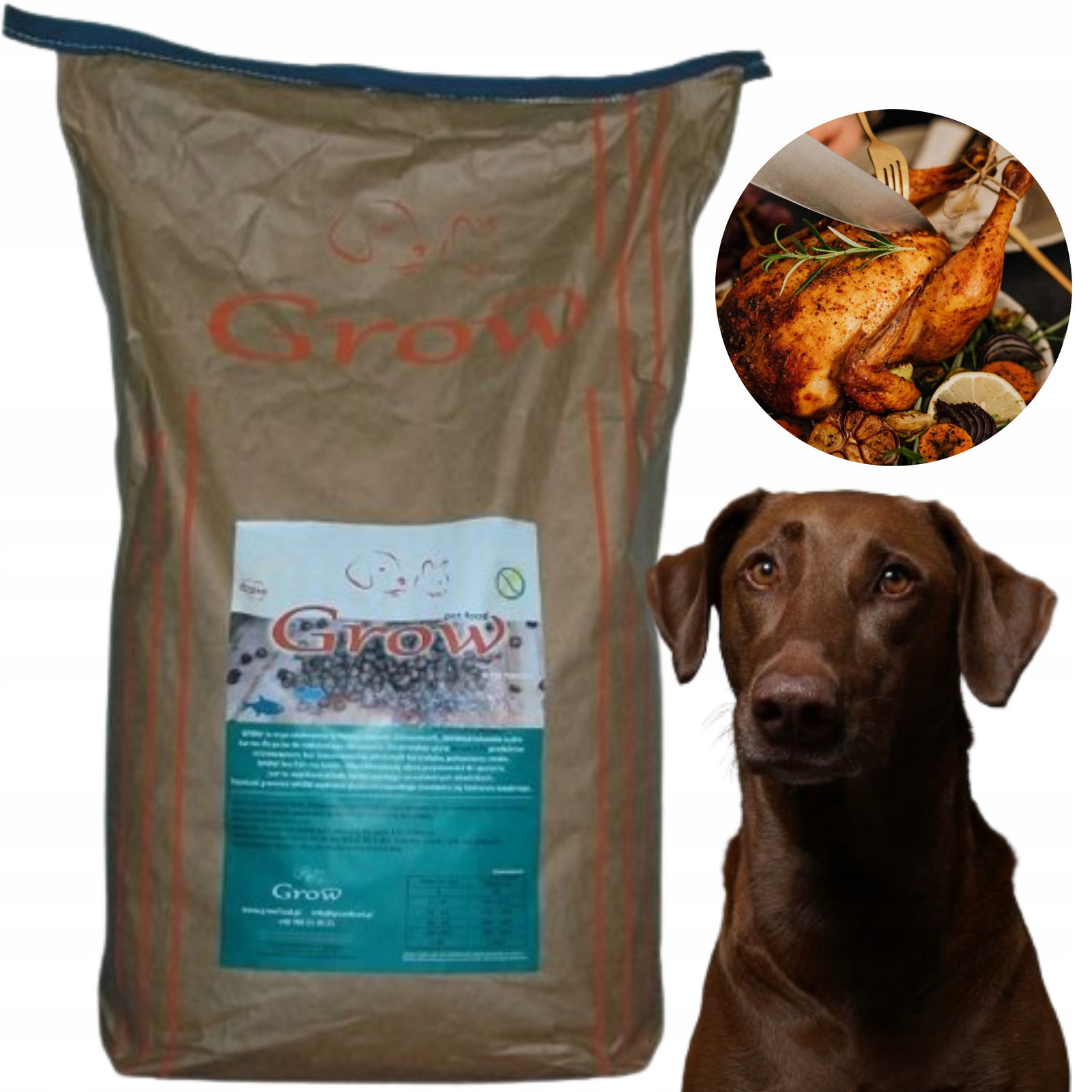 Grow Kuřecí Losos Junior L Suché Krmivo pro štěňata 7 kg