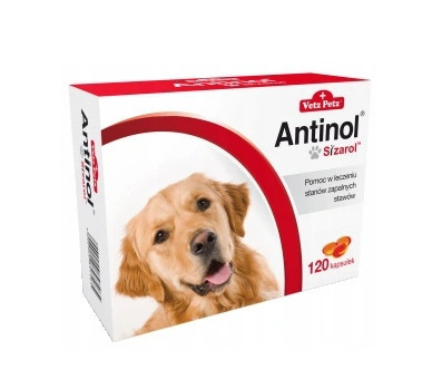 Biovico Antinol Sizarol 120 tablet Na Stavy