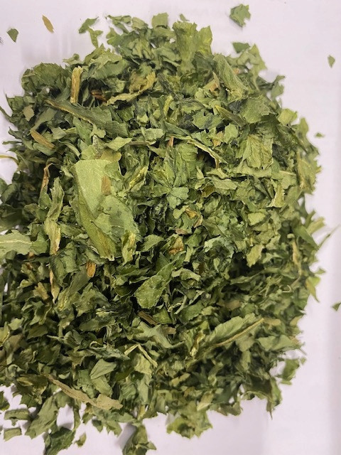 Česnek Medvědí sušený Rafex 1 Kg