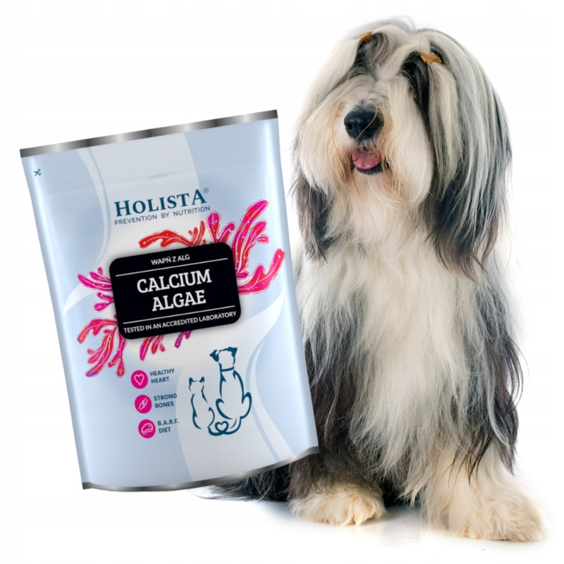 Holista Calcium Algae Vápník z řas 72 Aktivní minerály 600 g