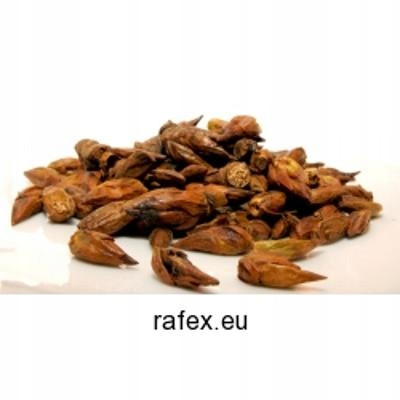 Topolové pupeny 1 kg Rafex