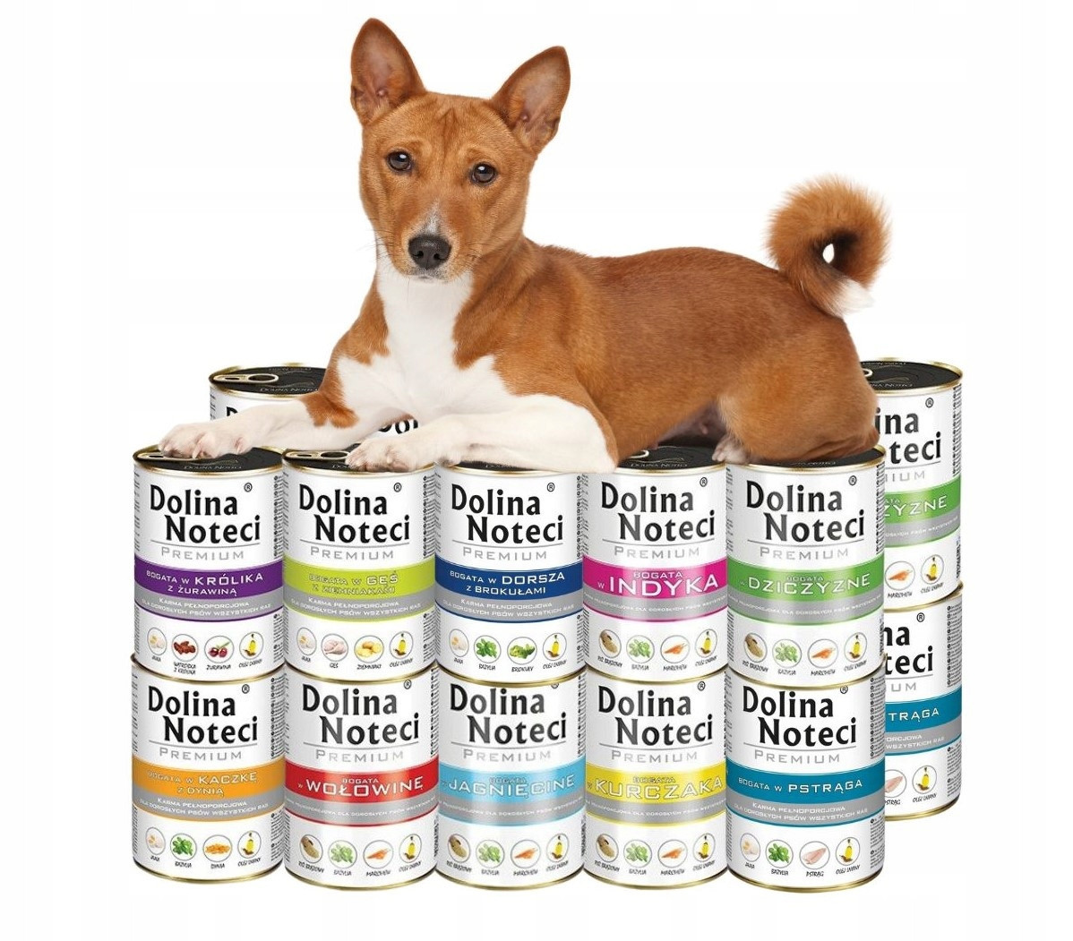 Vlhké krmivo pro psy Dolina Noteci Premium mix chutí 20x400 g