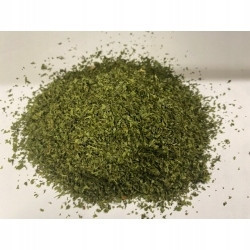 Zahradní tribula (anthriscus Cerefolium) 1 Kg Rafex