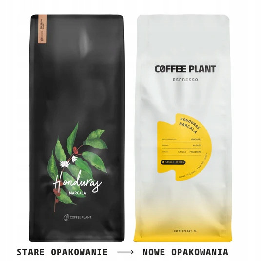 Coffee Plant Honduras Marcala 1kg