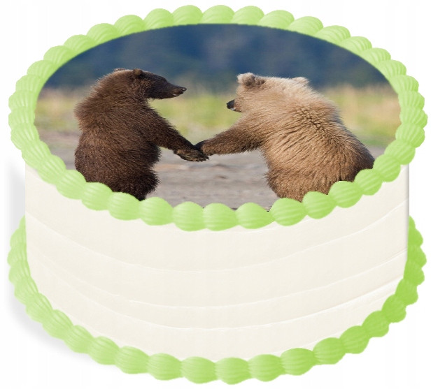 oplatek na dort 14 cm Zvířata Medvídek Medvěd