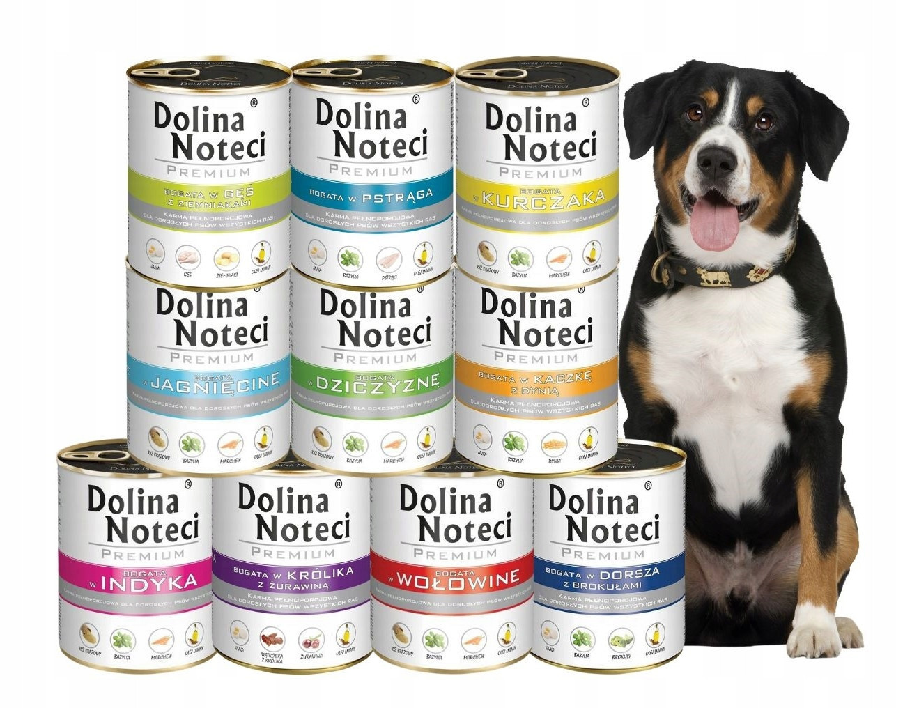 Vlhké krmivo pro psy Dolina Noteci Premium MIX 10x800 g 10 příchutí Bez Obilovin