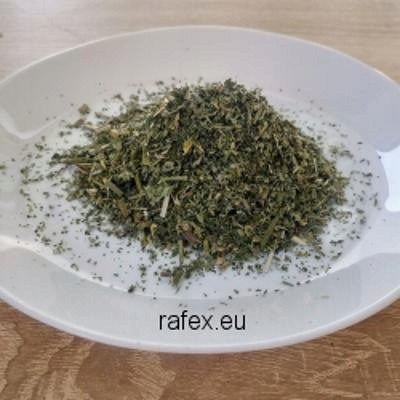 Kočičí máta 1 kg Rafex