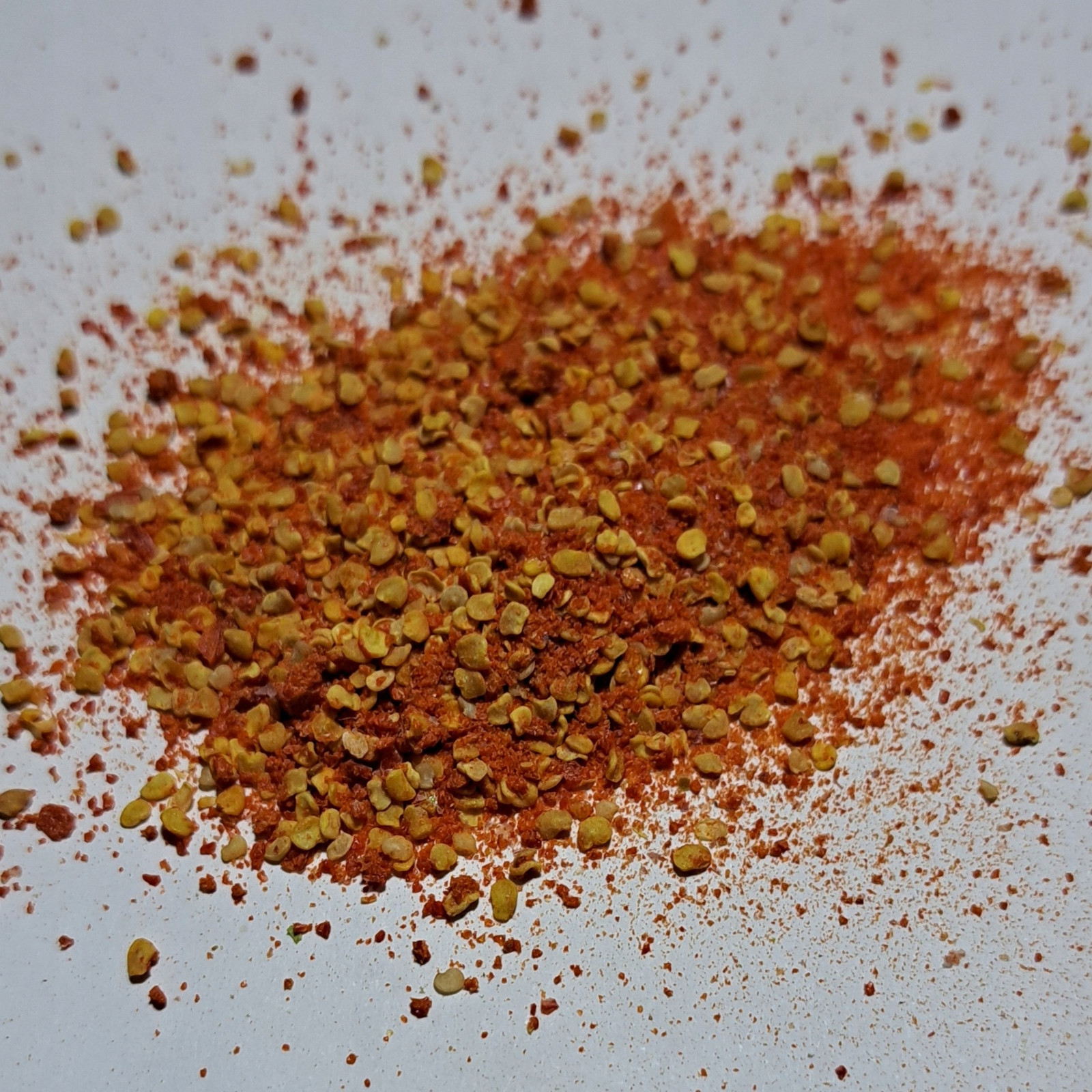 Goji Lyofilizovaný prášek 1 kg Rafex