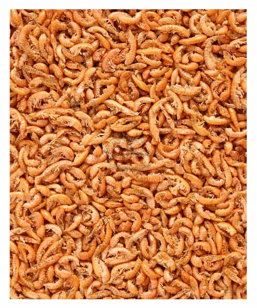 Gammarus, sibiřský sušený 5 litrů