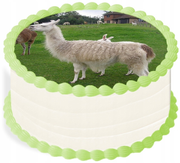 oplatek na dort 29 Cm Zvířata Zoo Lama Narozeniny
