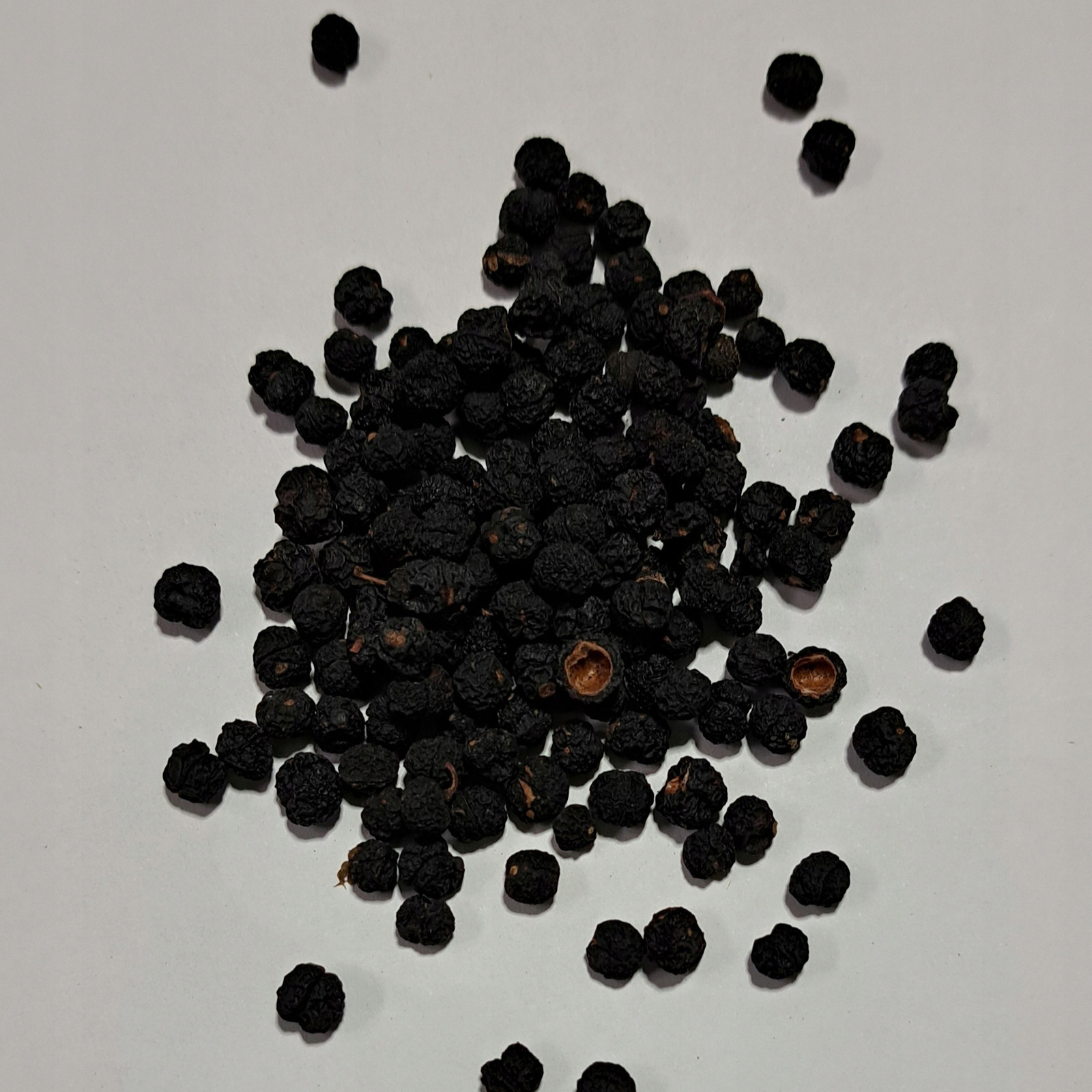 Pepř tasmánský celý 1 kg Rafex