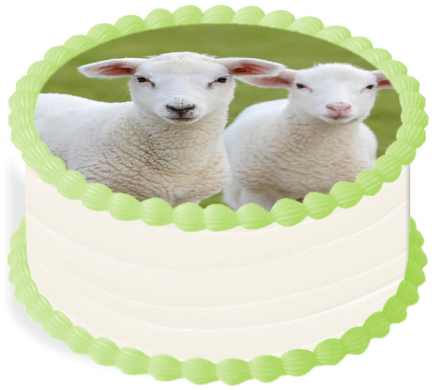 oplatek na dort 29 Cm Zvířata Farma Ovce Ovečka