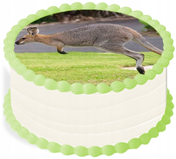 oplatek na dort 20 cm Zvířata Zoo Klokan Party