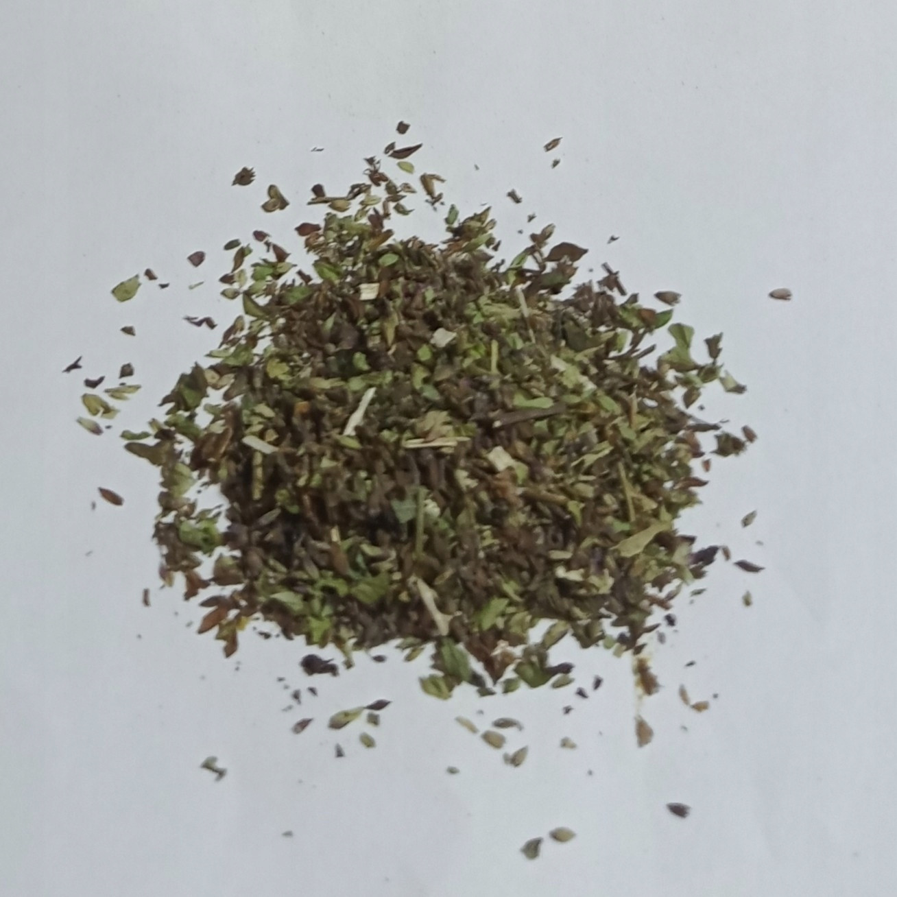 Oregano Divoká Albánie 1 Kg Rafex
