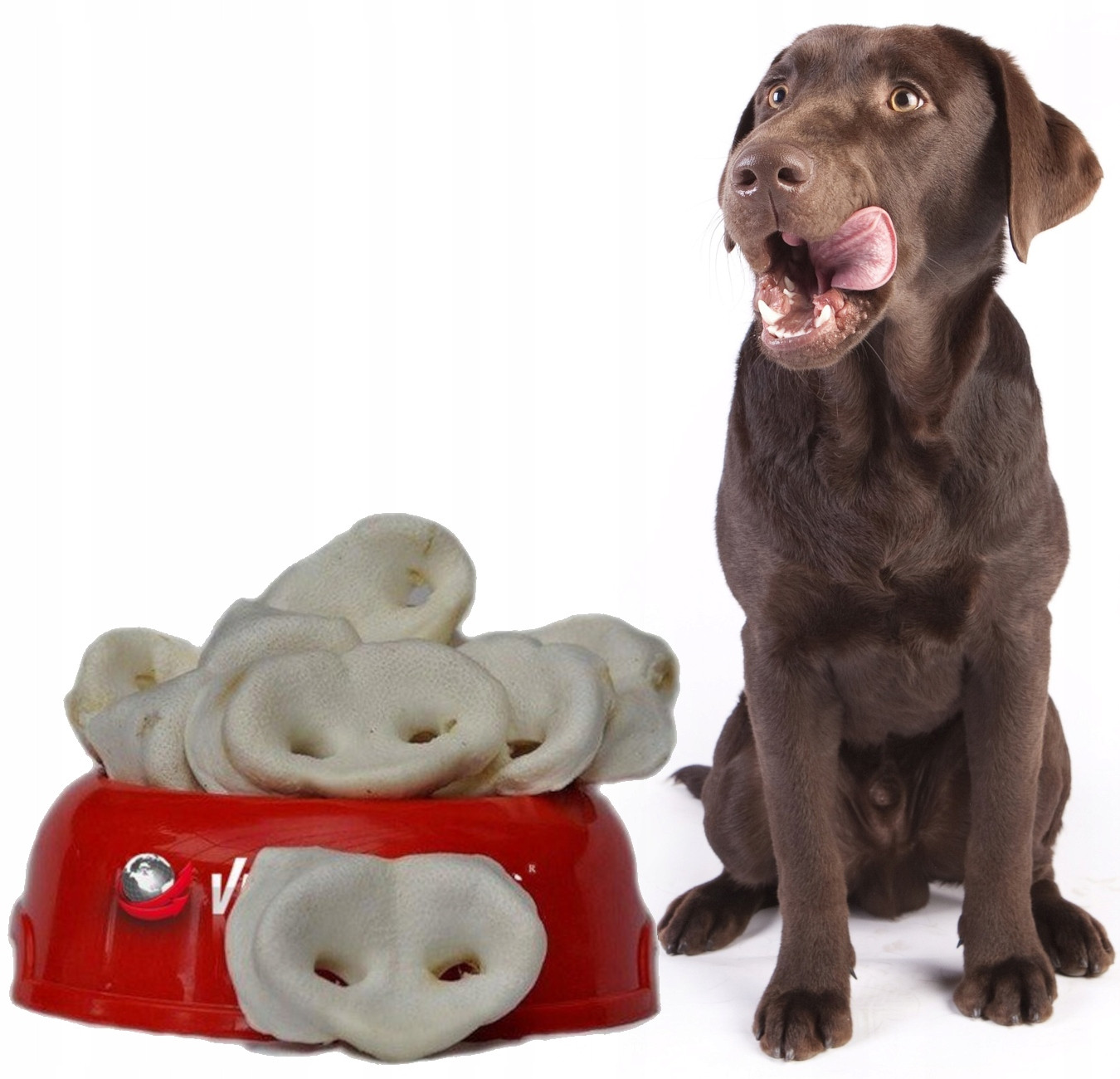 Kousátko pro psa vepřové nosy bílé velké 40ks