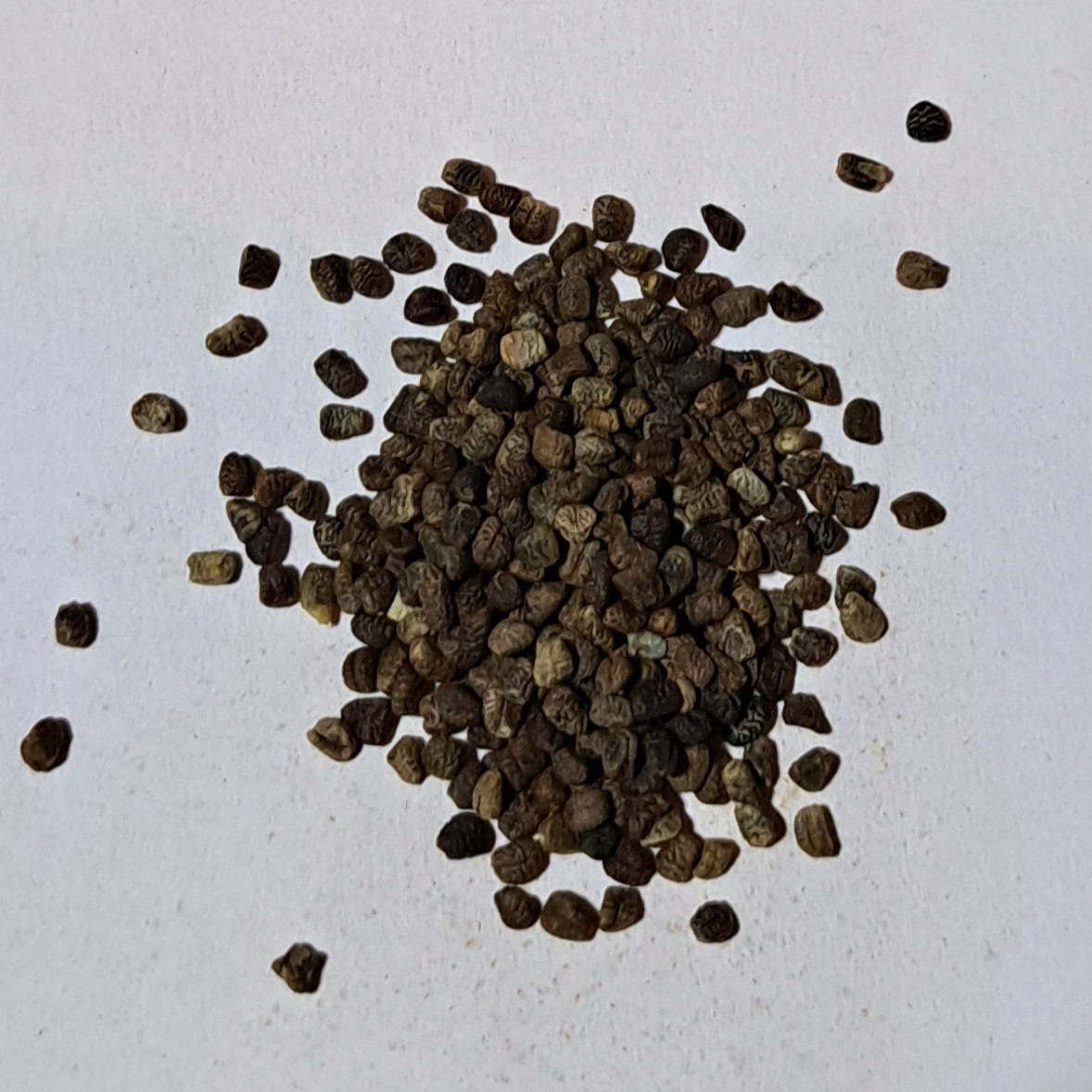 Kardamom Loupaný 1 Kg Rafex