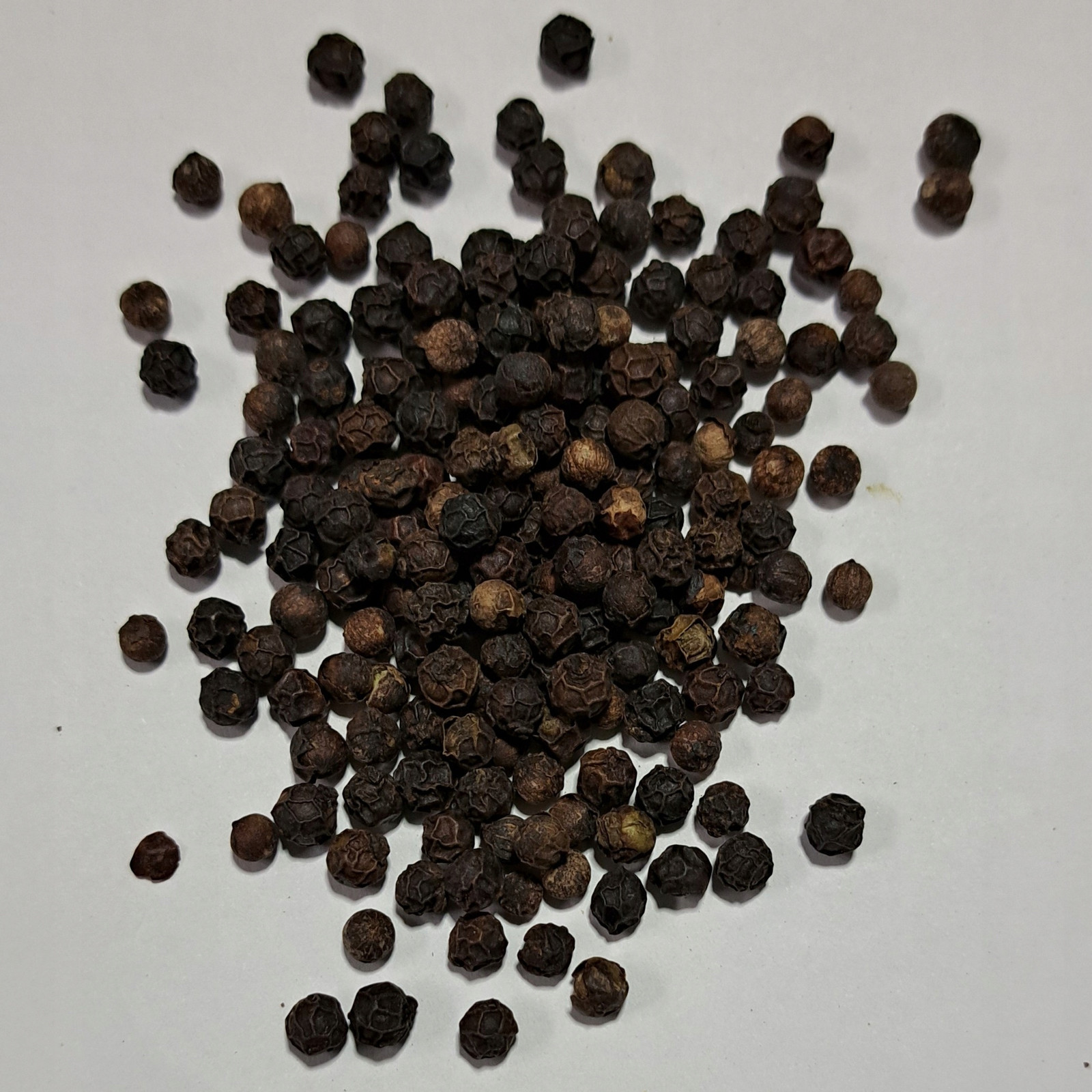 pepř Tellischerry Indie 1 Kg Rafex