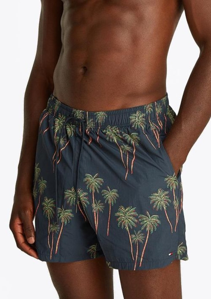 Pánské plavky Tommy Hilfiger UM0UM03491