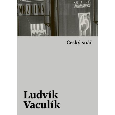 Český snář s komentářovým výkladem