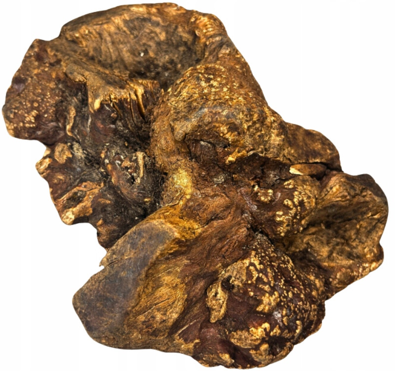 Biotop Kořen vřesu přírodní tvrdé kousátko psa vřesovec 750-1000g XXL