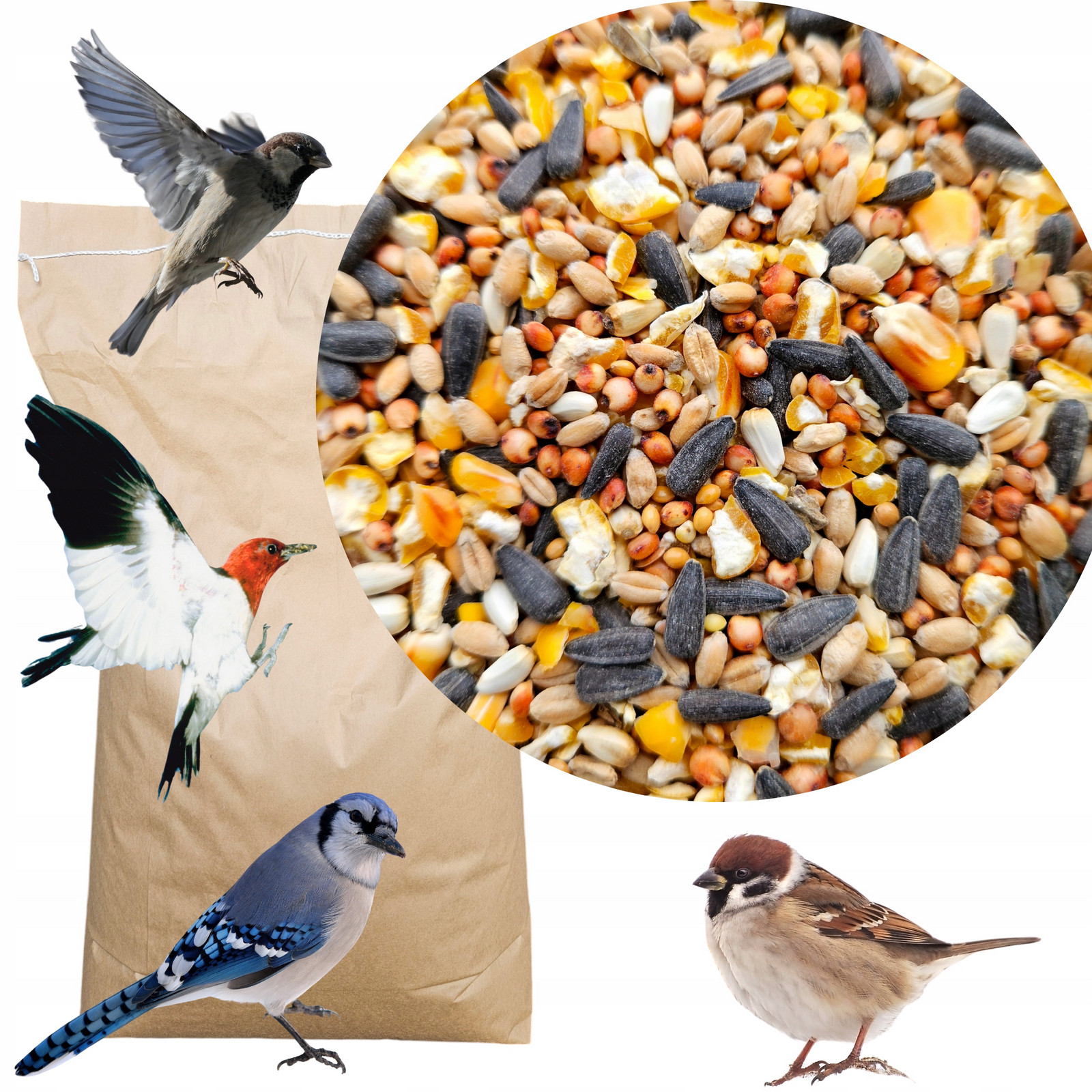 Krmivo Pro Volně Žijící Ptáky Slunečnice Krmivo Zrno Do Krmítka MIX 20 Kg