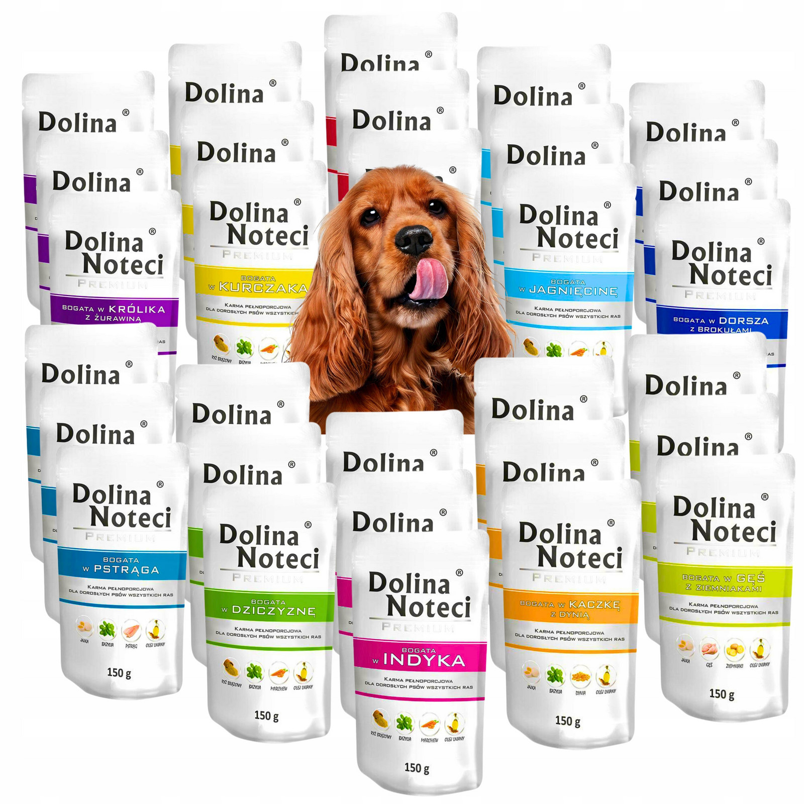 Dolina Noteci Premium Vlhké Krmivo MIX 10 Příchutí Pro Psa 30x150G