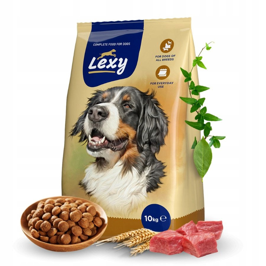 Lexy kompletní suché krmivo pro dospělé aktivní psy Vitamíny 10 kg