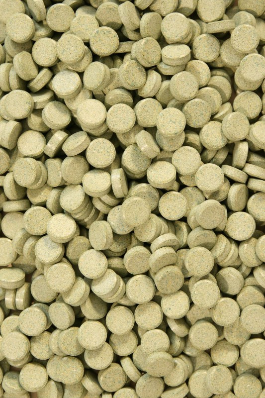 Krmivo Pro Ryby Se Spirulinou Algentablet 10% Tablety 1000G Krmivo Pro Ryby