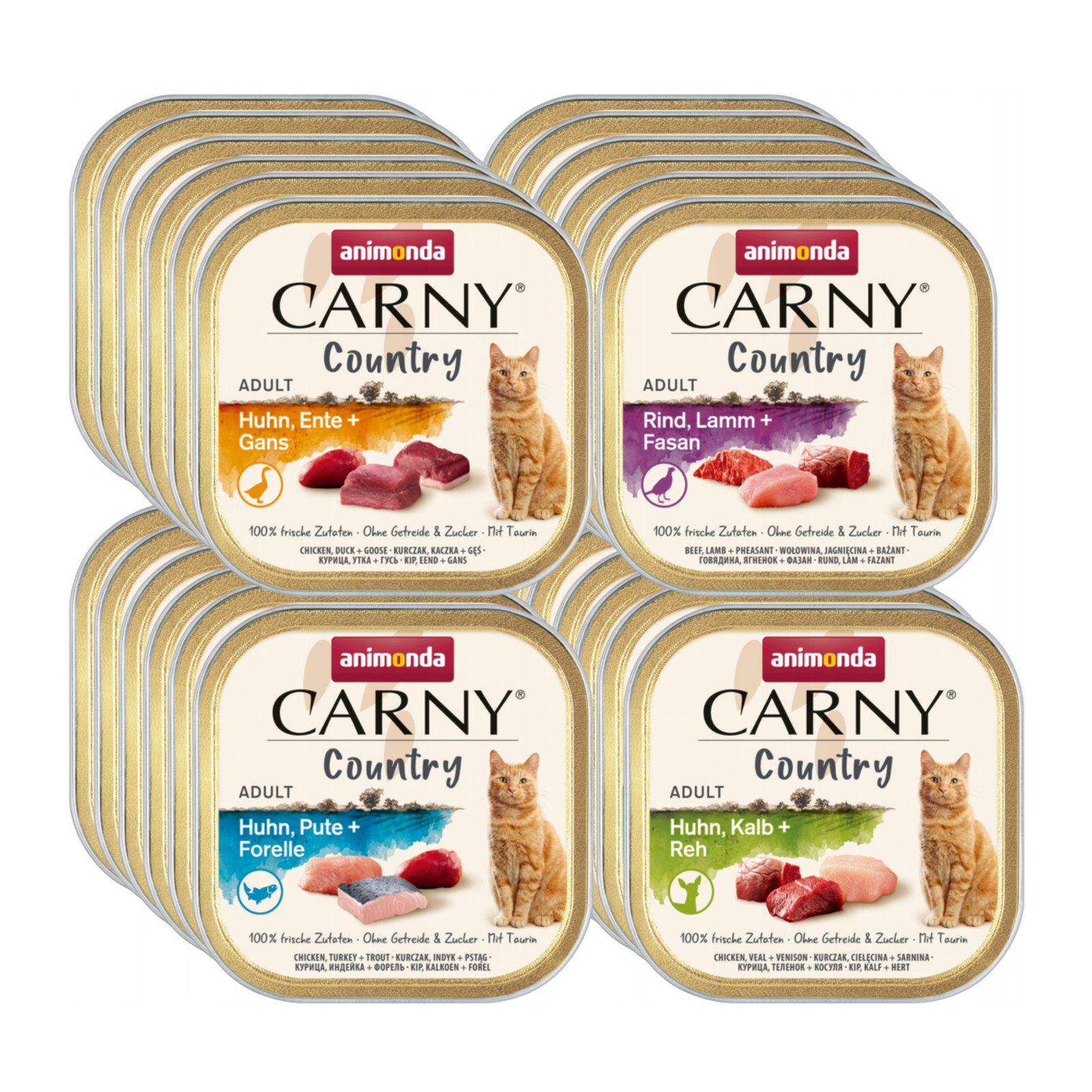 Animonda Kočka Carny Country šála Set 36x100g MIX všech příchutí