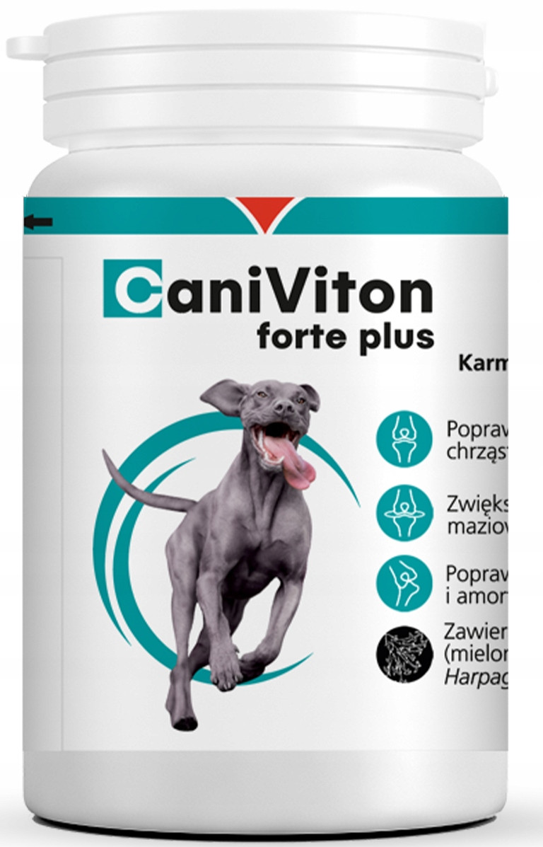 Vetoquinol Caniviton Forte Plus 90 tablet