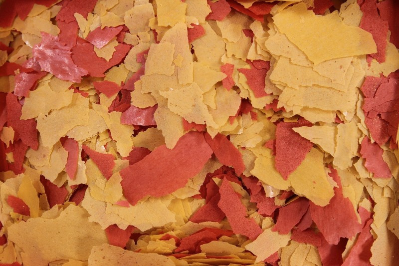 Krmivo Pro Ryby S Vysokým Obsahem Bílkovin Eigelb MIX Glopex Krmivo Pro Ryby 25L/5KG