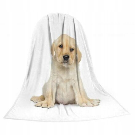 Deka Texstar mikrovlákno 280g 150 x 200 cm, štěně