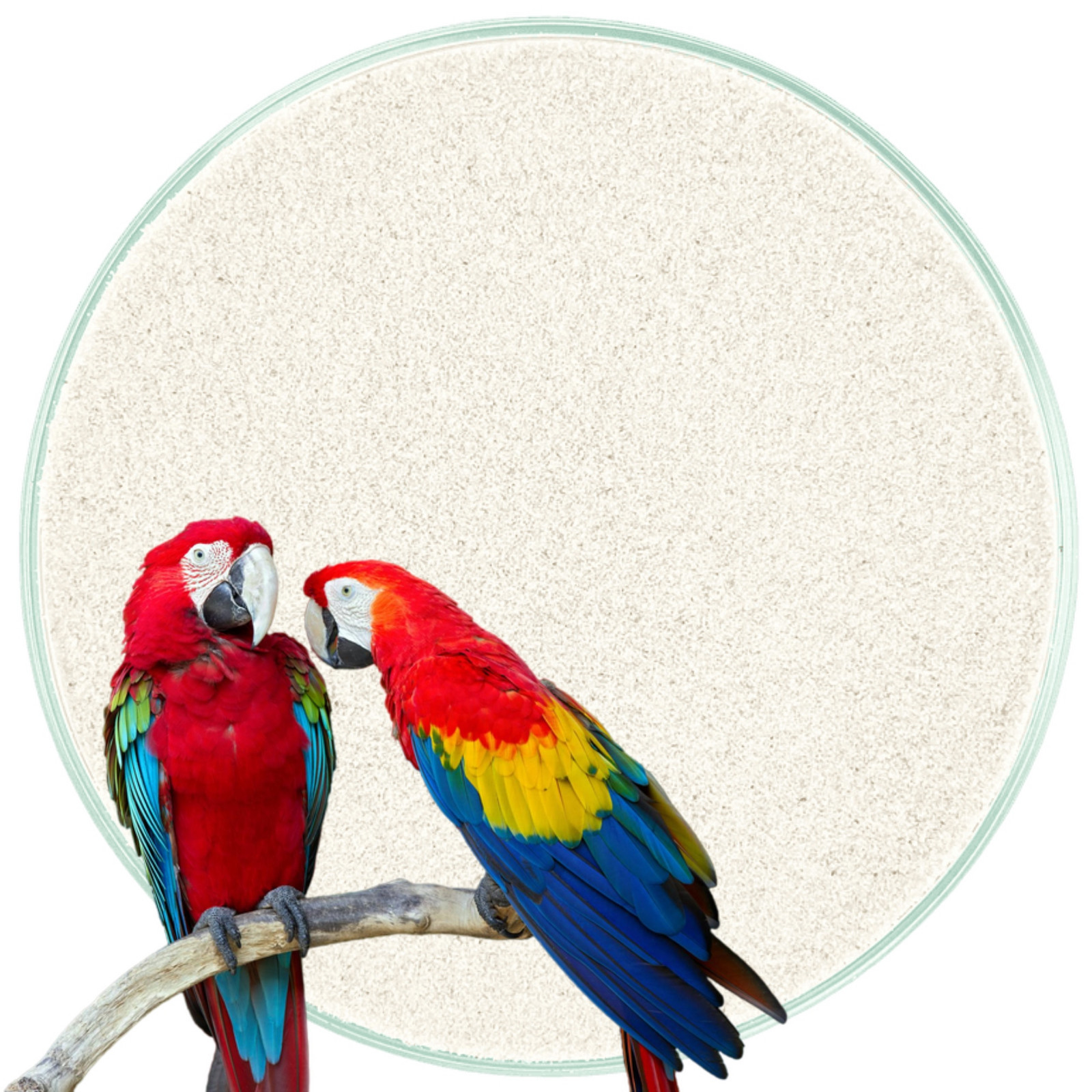 Jemný Písek Pro Papoušky Exotického Ptactva 30 Kg