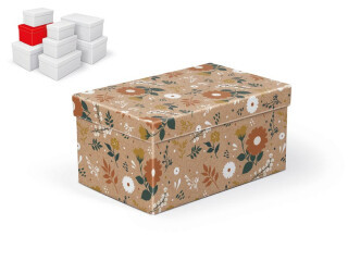 Krabice dárková B-C011-D 22x14x11cm