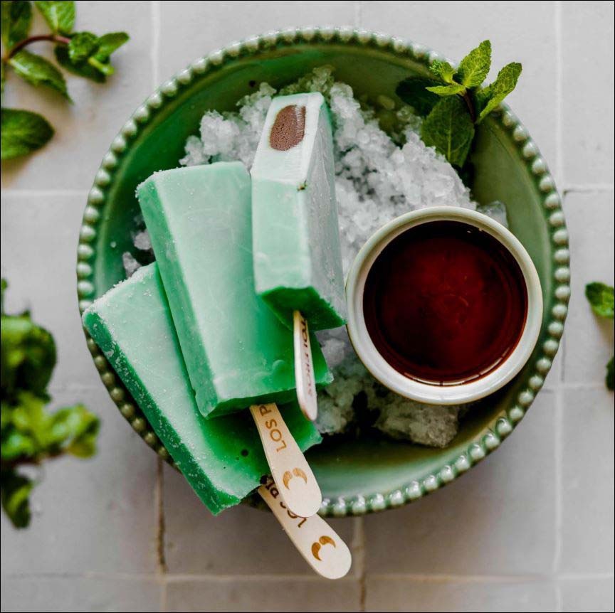 Paleta Mint amp Chocolate