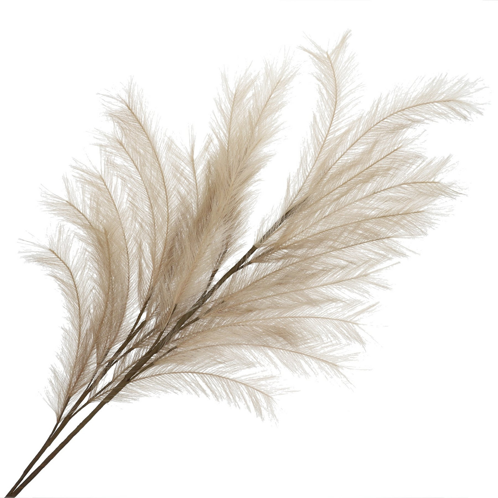 CANNE Umělá květina béžová 100 cm 991206
