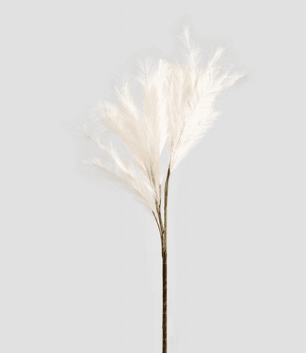 CANNE Umělá květina ecru 100 cm 991190