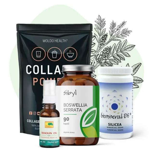 Balíček - kosti/klouby