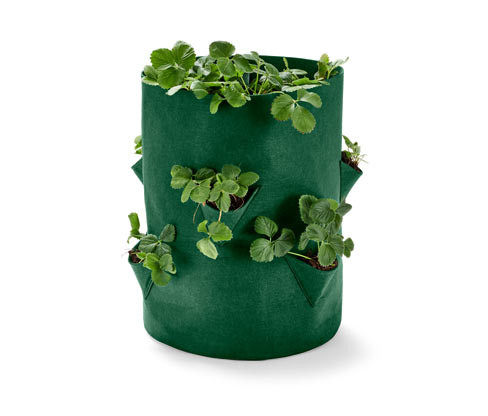 Tchibo - Taška na pěstování jahod - barva: zelená