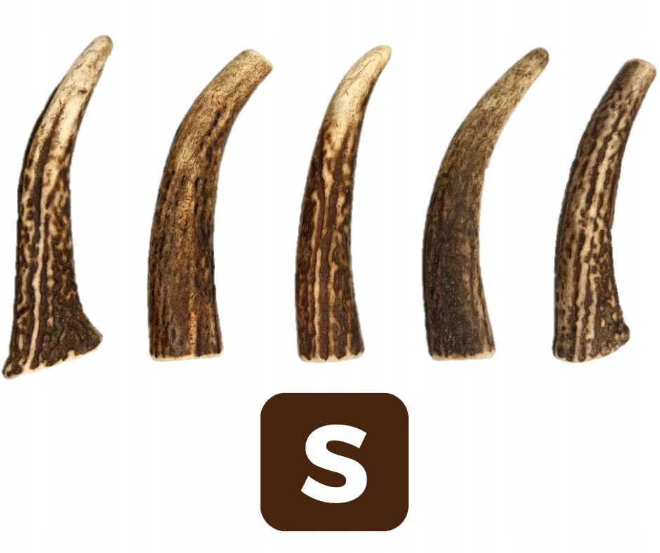 Sada 5x Kousátko z jeleního parohu pro psa S hard