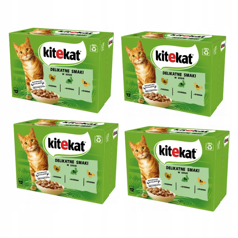 Kitekat Jemné příchutě 48x85g