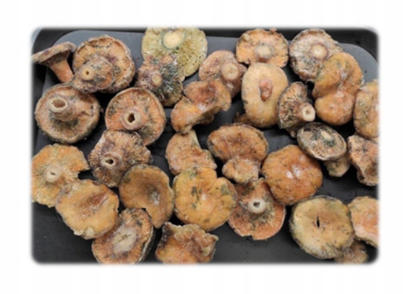 Devaldano Rydz celý 900g