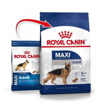Royal Canin Maxi Adult 10 kg Dospělí Psi Velká Plemena