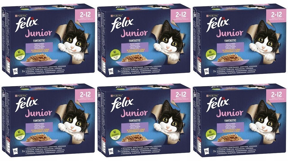 Felix Fantastic Junior v želé; 72x85g